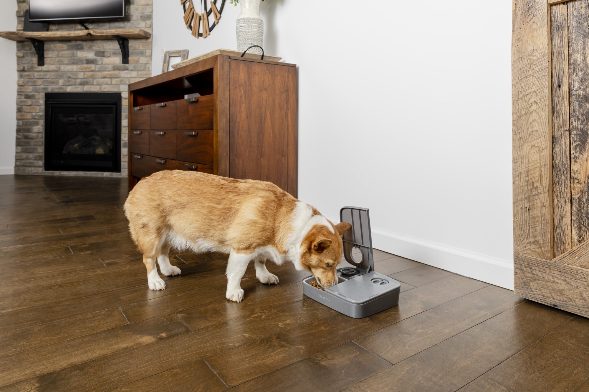 PetSafe Analog 2 Meal Programmable Pet Feeder, Dry or Semi-Moist Food, 3 Cup/16 Oz Capacity