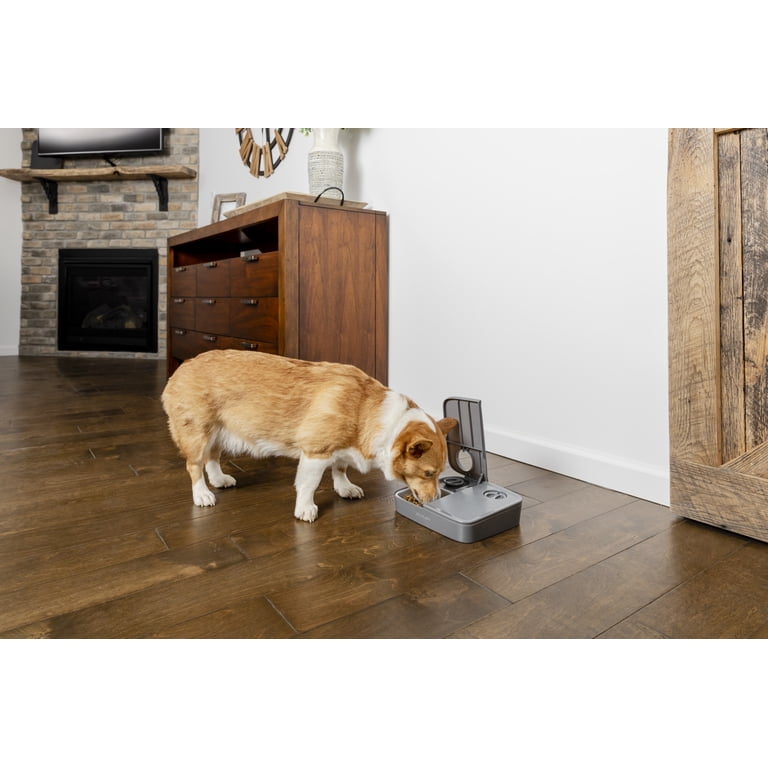 Analog 2-Meal Programmable Pet Feeder photo 8