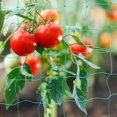 thumbnail image 4 of GAXIRE Malla Trellis Para Plantas Con Soporte Firme Y Uso En Jardín Exterior, 4 of 6
