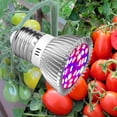 thumbnail image 3 of Lámpara de crecimiento LED Disipación de calor Espectro completo UV IR LED Bombilla de crecimiento para interiores Tmvgtek Para estrenar, 3 of 9