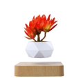 thumbnail image 1 of Maceta de bonsái de aire levitante, maceteros de flores de rotación, maceta flotante de suspensión de levitación magnética, decoración de escritorio de plantas en macetas en dos piezas, 1 of 5
