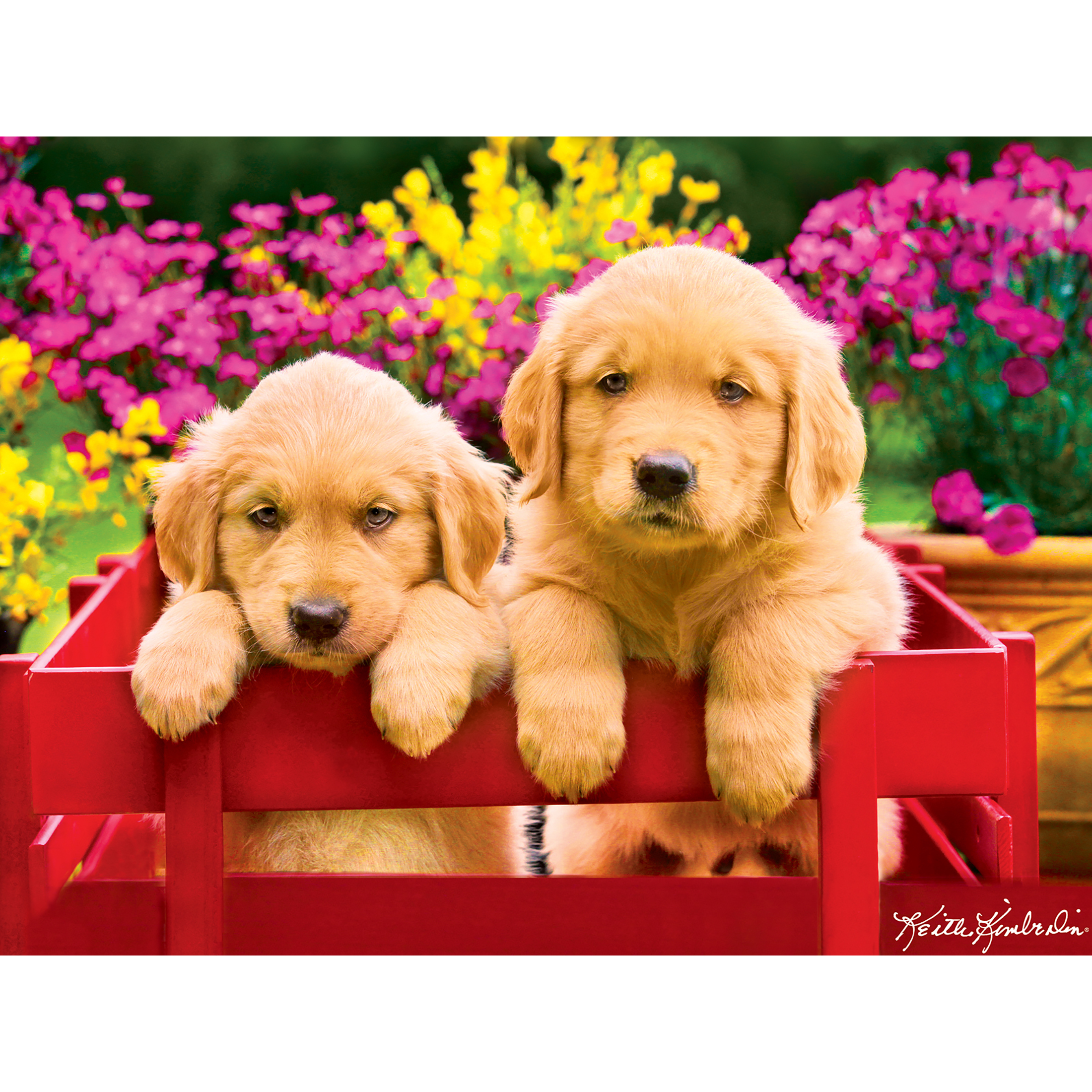 Cra-Z-Art Kodak 350-Piece Golden Retriever Puppies in a Red Wagon Adult Jigsaw Puzzle