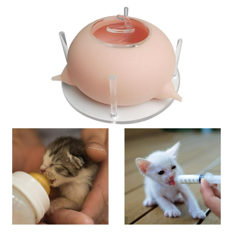 Pet Feeding Device Milk Puppy Feeder Feeding Acrylic Silicone Milk