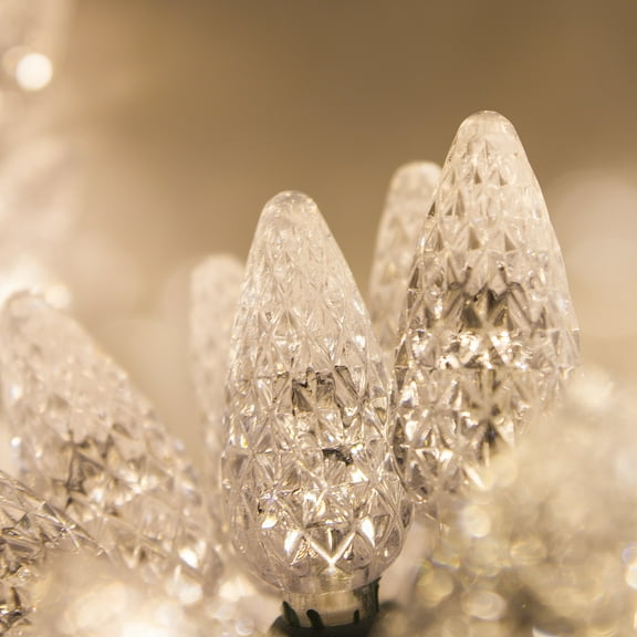 Wintergreen Lighting C6 Warm White Christmas Lights LED String Lights, Set of 70 Lights on Green Wire, 24 Ft - Indoor/Outdoor Lighting