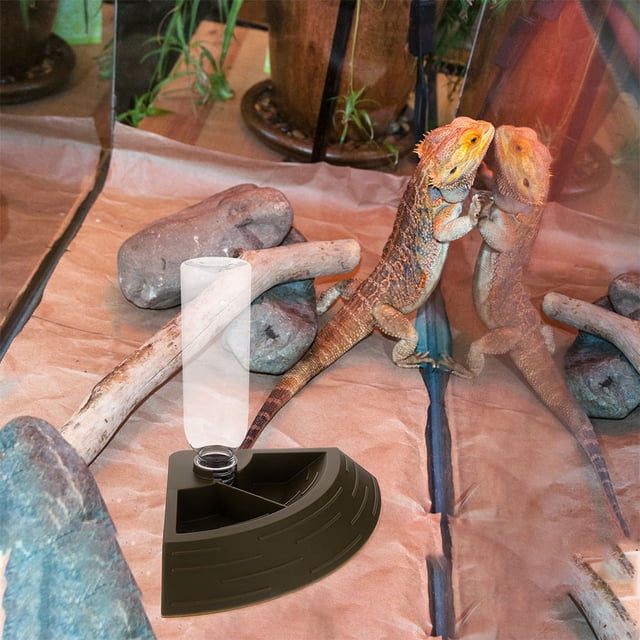 MERRYHAPY Plato Dorado Para Alimentación Y De Reptiles Con Compacto En