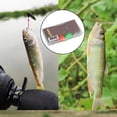 thumbnail image 4 of Cebo Artificial Perfecl Surtido de Moscas de Pesca con Caja Impermeable, 4 of 8