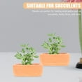 thumbnail image 3 of Miangastore 6Pcs Lightweight Mini Ceramic Nursery Pot Thickened Plant Nursery Pot Flower Breeding Container, 3 of 8