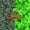 Green Brown A, variant on Castle Fairy Pixelated Miners Letter P Queen Sheet Sets 4 Pieces for Kids,Gaming Block Bed Set