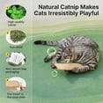 thumbnail image 5 of Interactive Catnip Toy for Cats, Chewable Molar Pillow Pet Toy, Cat Toy Chew Dental Soft Plush Stuffed Toy to Keep Cats Entertained Relieve Stress Promote Dental Health Care, A, 1pc, 5 of 8
