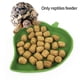 thumbnail image 4 of 2 piezas de cuenco de agua y comida para reptiles con forma de hoja, plato para tortugas, serpientes, mascotas que gatean y beben, 4 of 9