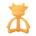 thumbnail image 1 of Dpityserensio Toddlers Infants Baby Teething Toys Soft Fruit Teether, 1 of 6