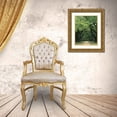 thumbnail image 3 of Flaherty, Dennis 25x32 Gold Ornate Wood Framed with Double Matting Museum Art Print Titled - South Carolina, Charleston Spanish moss on trees, 3 of 4