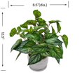 thumbnail image 4 of Mainstays 12.5"Height, Artificial Plant in Pot, Caladium, Green Color., 4 of 5