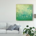 thumbnail image 3 of Trademark Fine Art 'Fancy I' Canvas Art by Jennifer Jorgensen, 3 of 4