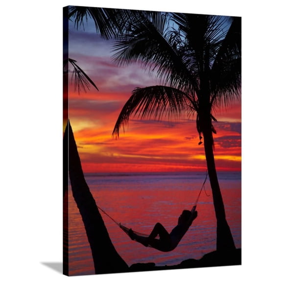 Woman in Hammock, and Palm Trees at Sunset, Coral Coast, Viti Levu, Fiji, South Pacific, Botanical Scenic Stretched Canvas Wall Art by David Wall Sold by ArtCom