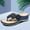 Blue, variant on Women's Sandals Shoes Wedges Flip Flops Fashion Buckle Strap Sandals Summer Shoes For Women Black 10(42)