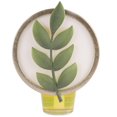 thumbnail image 1 of Diffuseur d’huile Scent Charm ScentSationals - Green Leaf, 1 of 4