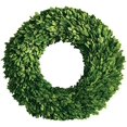 thumbnail image 1 of Mills Floral Company Boxwood Round Wreath, Single Side 16", 1 of 4