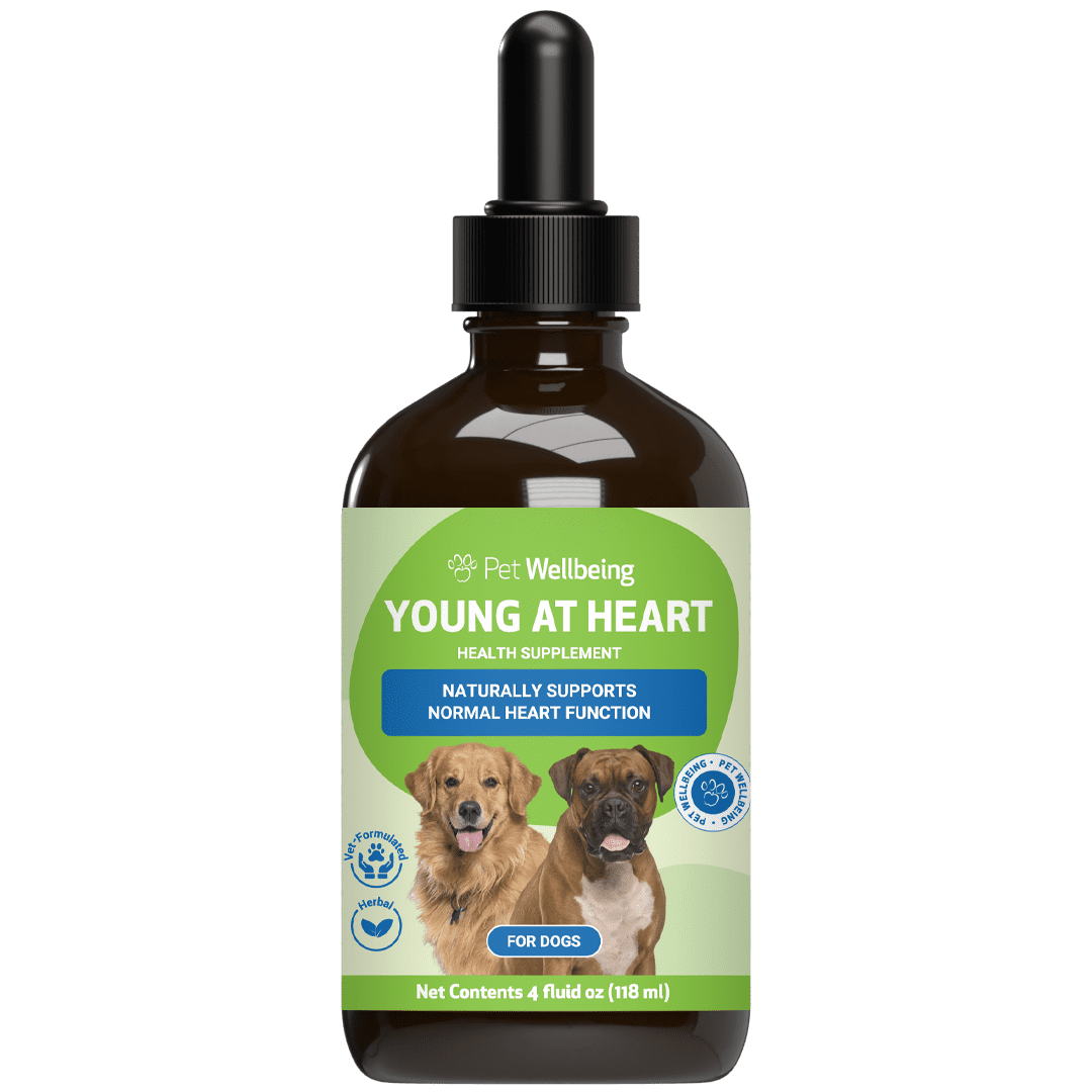 Pet Wellbeing Natural Dog Heart Health Support - Young at Heart 4oz (118ml)