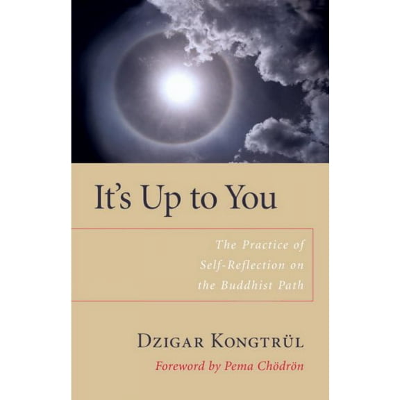 It's Up to You : The Practice of Self-Reflection on the Buddhist Path (Paperback)