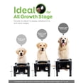thumbnail image 2 of Cuencos para perros Slow Feeder Pawque ajustables, elevados a 3 alturas, 2 of 7