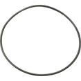 thumbnail image 1 of A Replacement O-Ring, 1 of 1