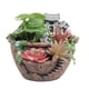 thumbnail image 2 of Suculento Pot Bonsai Container Multifunción para Micro Paisaje () Naranja, 2 of 9