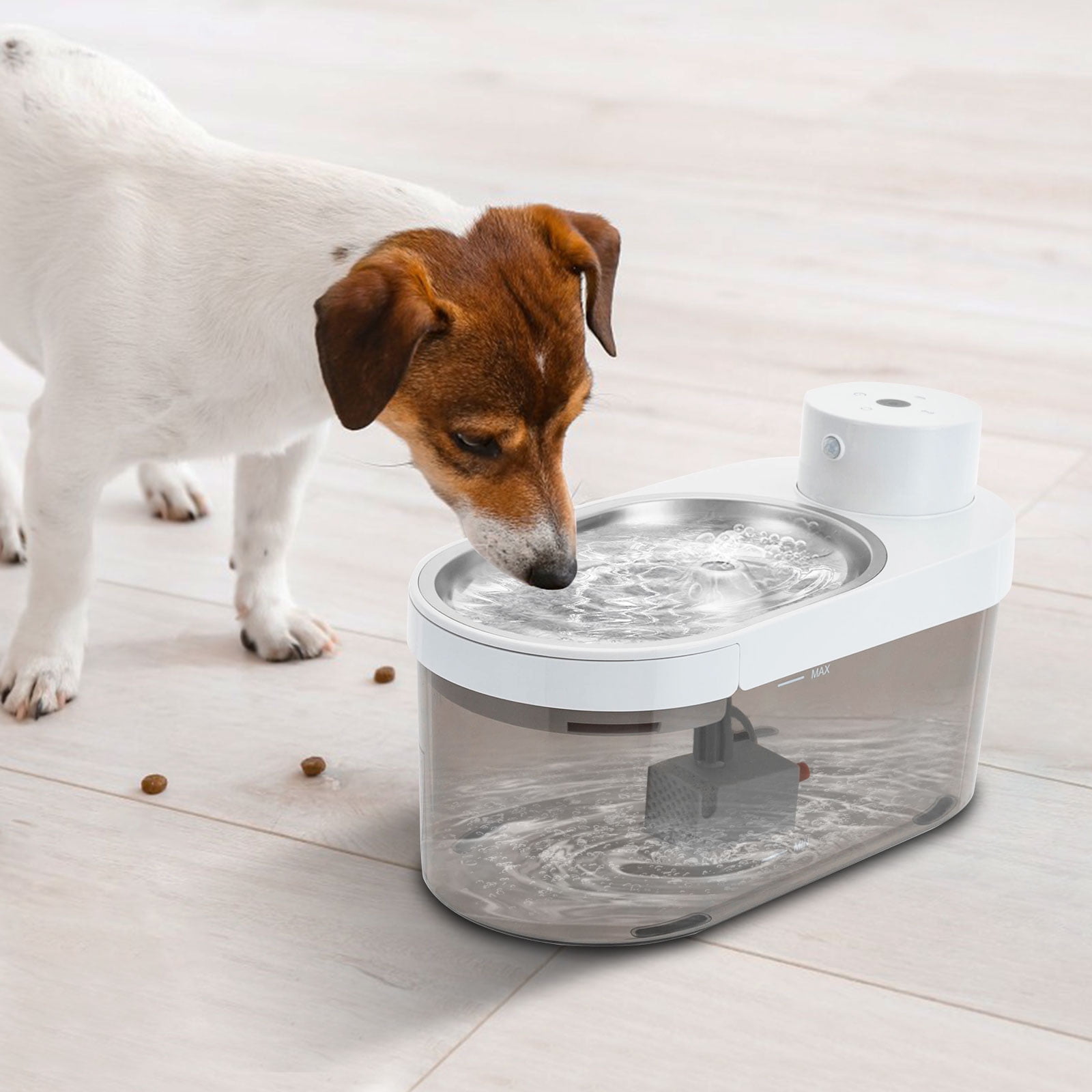 Pet Water Fountain for Cats & Dogs, 1.06 Gallon Capacity, Stainless Steel, Low Noise, Cordless, 3 Water Modes, Includes 2 Filters & USB Cable