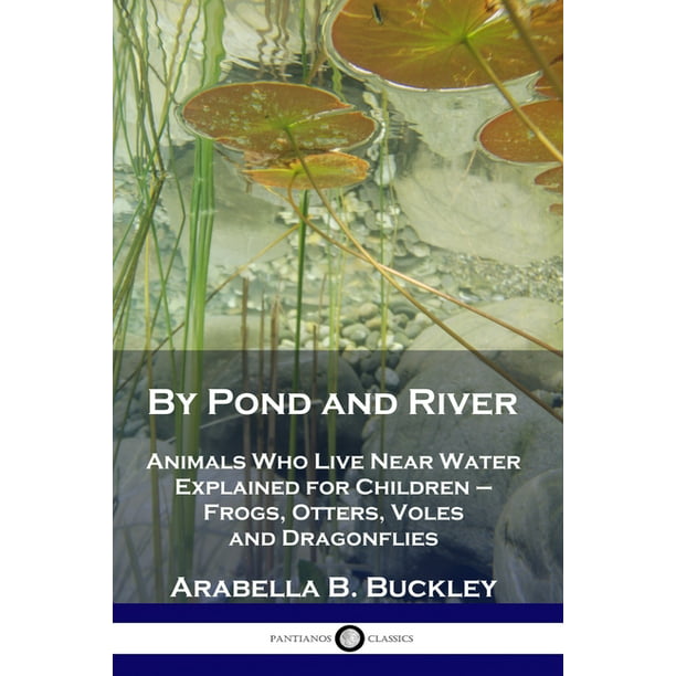 By Pond and River : Animals Who Live Near Water Explained for Children -  Frogs, Otters, Voles and Dragonflies (Paperback) 