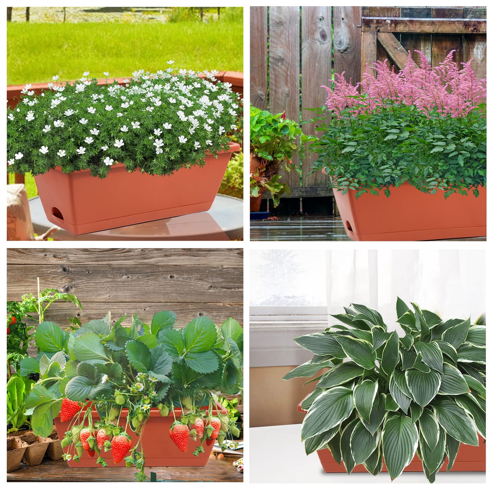 8pcs Window Box Planter, 17 Inches Flower Window Boxes, Rectangle Planters Box with Drainage Holes and Trays, Plastic Vegetable Planters for Windowsill Patio Garden Home Decor Porch Yard (Grey)