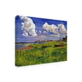 thumbnail image 2 of Trademark Fine Art 'A Cloudy Day at the Beach' Canvas Art by David Lloyd Glover, 2 of 4