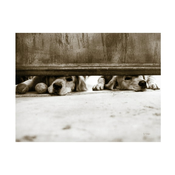 Elizabeth Urquhart 'First Light II' Canvas Art