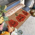 thumbnail image 2 of Front Entrance Mat, Floor Doormat for Kitchen, Indoor Outdoor Entrance Decor, 2 of 2
