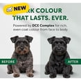 thumbnail image 2 of Dark Coat with Salmon & Rice, Hypoallergenic, All Sizes & Life Stages Dry Dog Food 22 lbs., 2 of 2