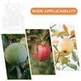 thumbnail image 2 of 2Pcs Vegetable Growing Decorative Melon Growth Reusable Fruits Shaper Gardening Tool, 2 of 8