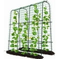 thumbnail image 2 of Slsy Tall Garden Arch Trellis Cucumber Trellis for Climbing Plants, 71" H x 71" L x 20" W Tall Metal Plant Support Trellis for Climbing Vine Vegetable/Fruit/Flower Outdoor Yard Lawn Garden, 2 of 9
