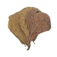 thumbnail image 1 of Natural Water Purification Tablets and Catappa Leaves for Aquarium Fish Tank Environment, 1 of 9