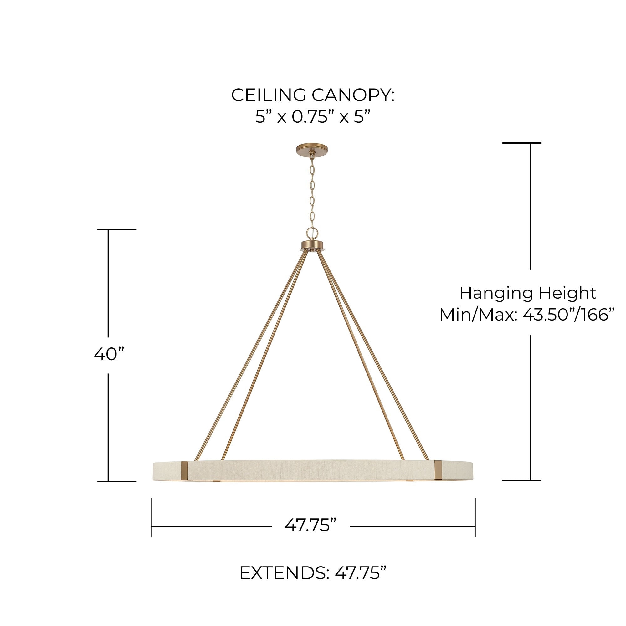 Capital Lighting - Delaney - 12 Light Chandelier In Minimalist Style-40 Inches