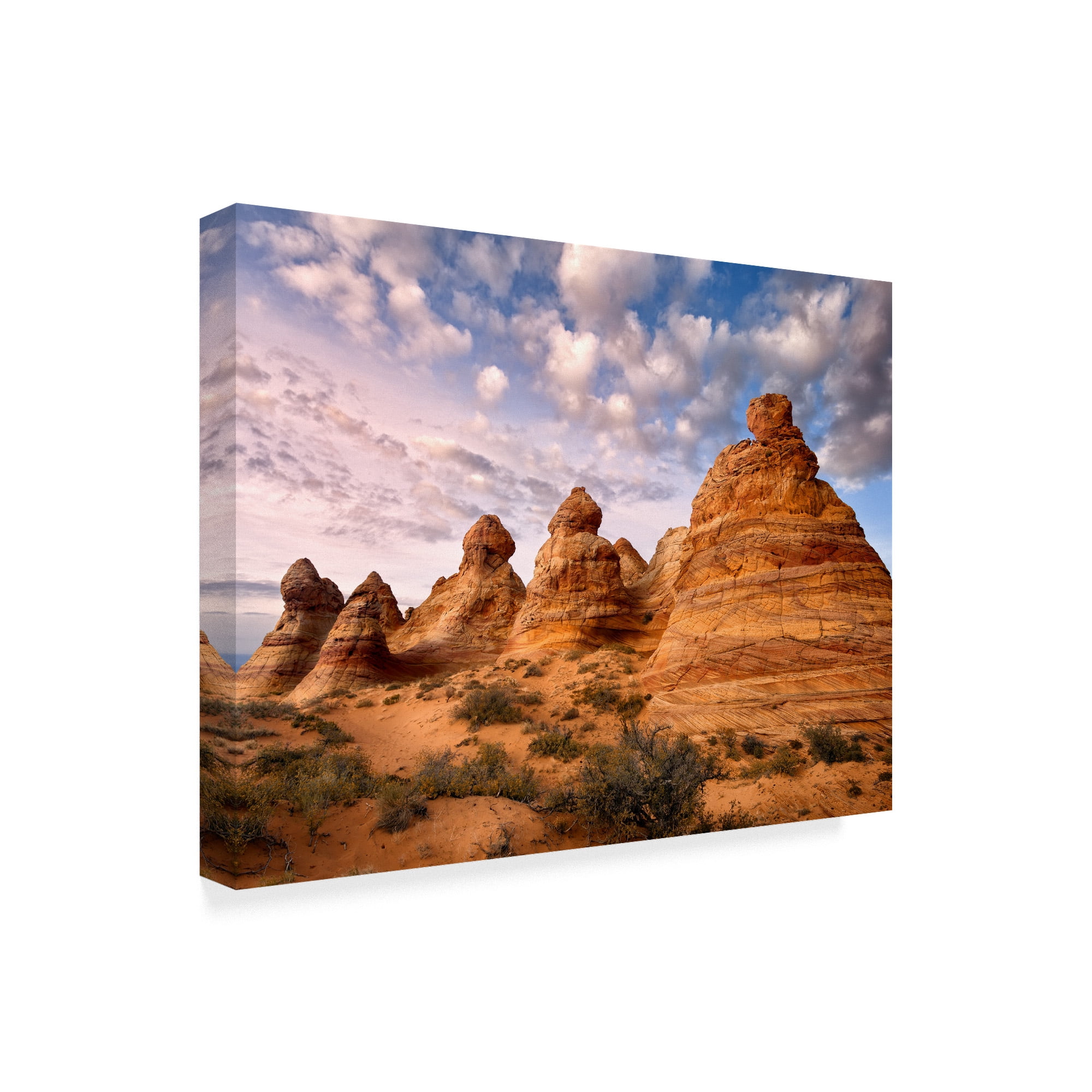 Trademark Fine Art 'Arizona Peaks I' Canvas Art by David Drost