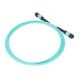 thumbnail image 5 of YUMILI Cable de fibra multimodo 8 Core 10GB MPO a MPO OM3 Línea de conexión de fibra óptica para uso doméstico PVC Cerámica, 5 of 8