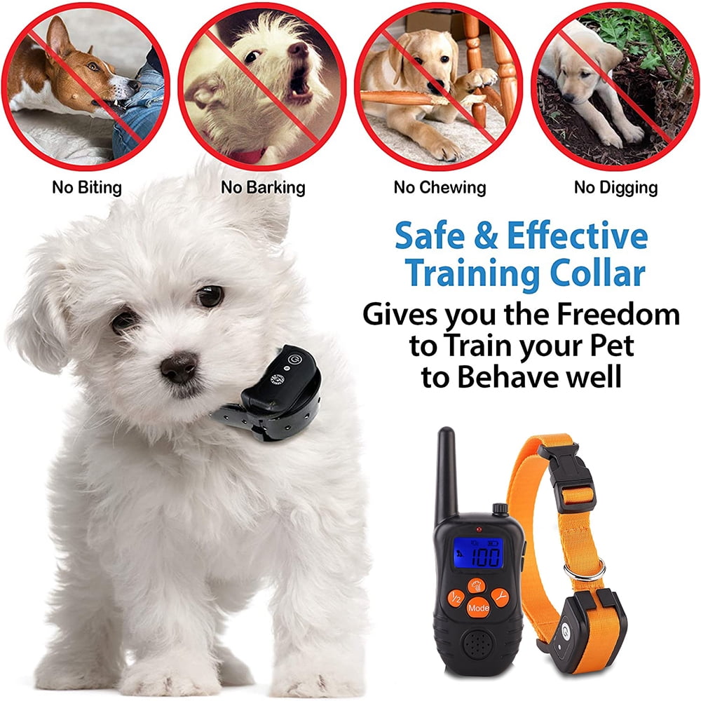Anti digging collar for dogs sale