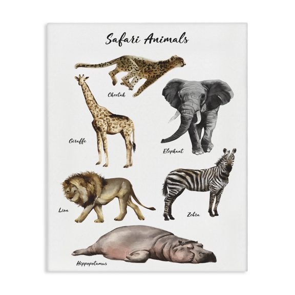 Stupell Industries Eclectic Safari Animal Chart Playful Watercolor Illustrations Canvas Art, 16 x 20, by Ziwei Li