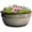 Greige, variant on Headwind Glazed Ironstone Boutique Collection Cascade Bowl Plant Pot – Plum Color 8 Inch Pot for Indoor Plants - Planters for Indoor Plants - Ideal Succulent Planters by Robert Allen