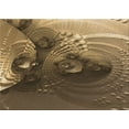 thumbnail image 1 of Ahgly Company Machine Washable Indoor Rectangle Transitional Bronze Brown Area Rugs, 3' x 5', 1 of 7