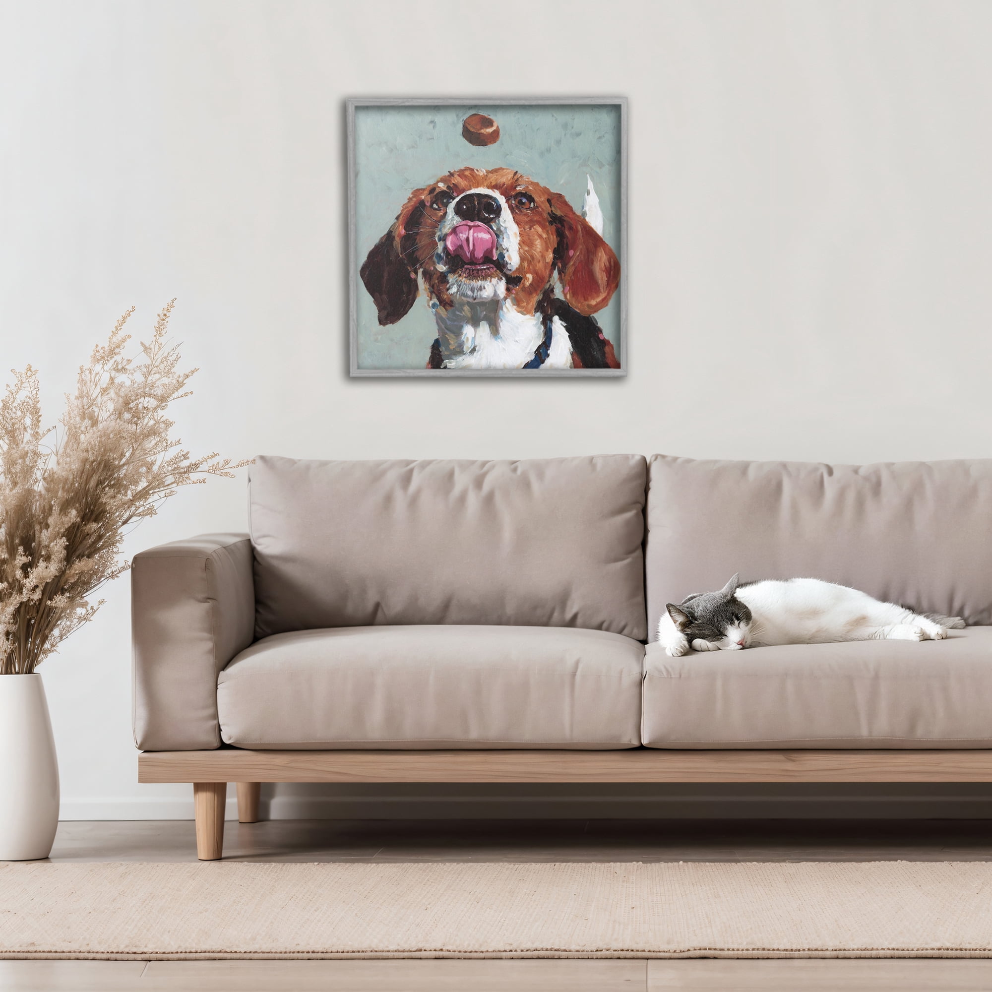 Stupell Industries Beagle Treat Excitement Gray Framed Giclee Art, design by Studio Bautista