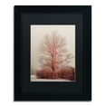 thumbnail image 2 of Trademark Fine Art "A-Blush in the Fog" Canvas Art by Lois Bryan, Black Mat, Wood Frame, 2 of 4