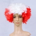 thumbnail image 1 of Peluca de color bandera para la peluca – Peluca afro tricolor explosión, fibra sintética ligera, gorra, talla única, accesorio reutilizable para ferias, 1 of 5