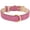 Hot Pink, variant on Didog Soft Padded Leather Dog Collar for Dogs, Comfortable Heavy Duty Small Medium Large Dog Leather Collar with Premium Alloy Hardware for Daily Walking
