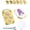 #C, variant on Mini Flower Press Keychain 20PCS Paper Gold Metal Straps for DIY Crafts #D