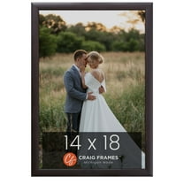 Craig Frames Contemporary, 14 x 18 inch Picture Frame, Brazilian Walnut Brown